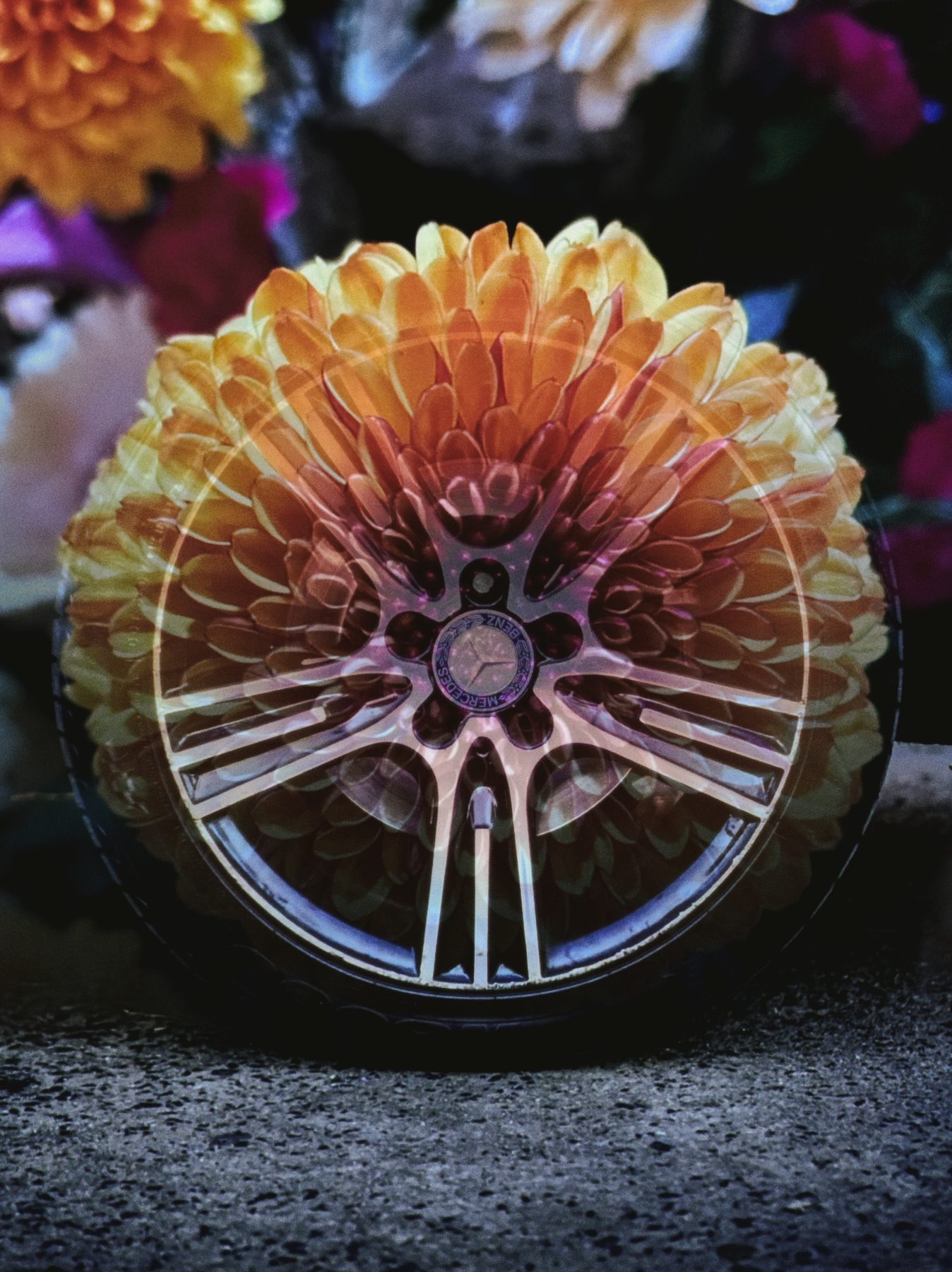 A flower blended into the spokes of a car wheel so the two circular shapes line up