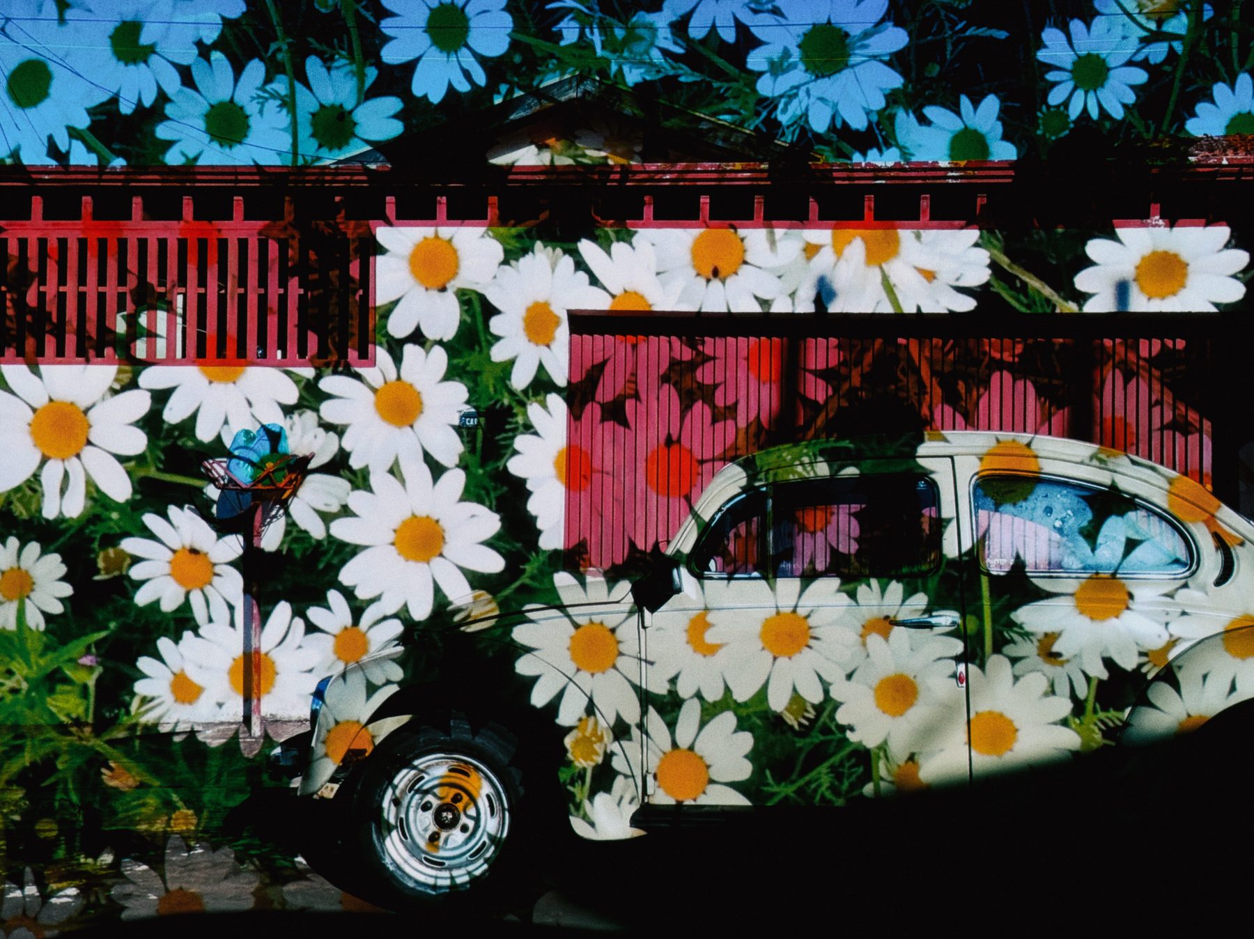 A parked car with daisies layered across the bodywork