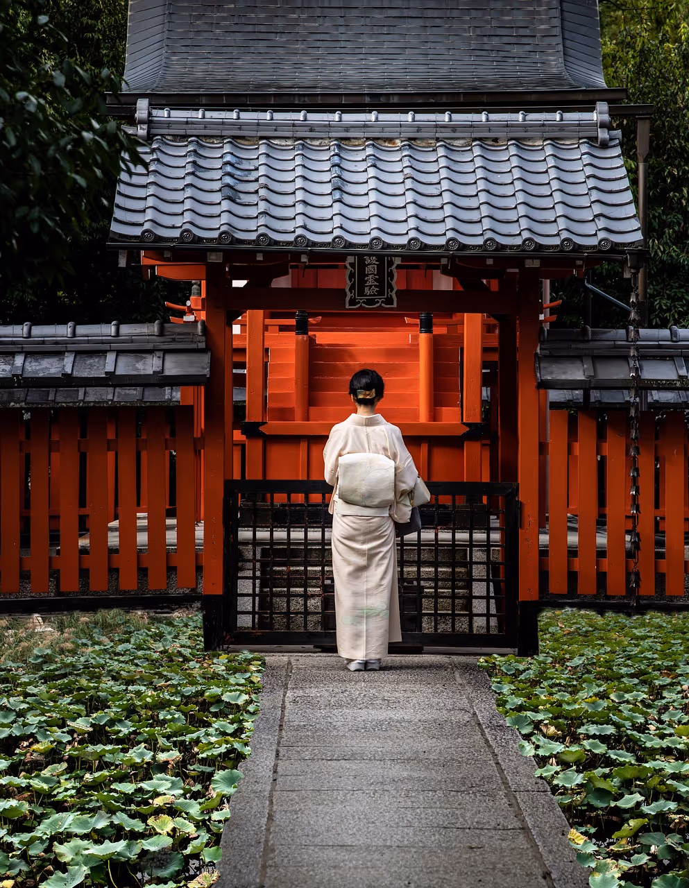 Escape to Japan