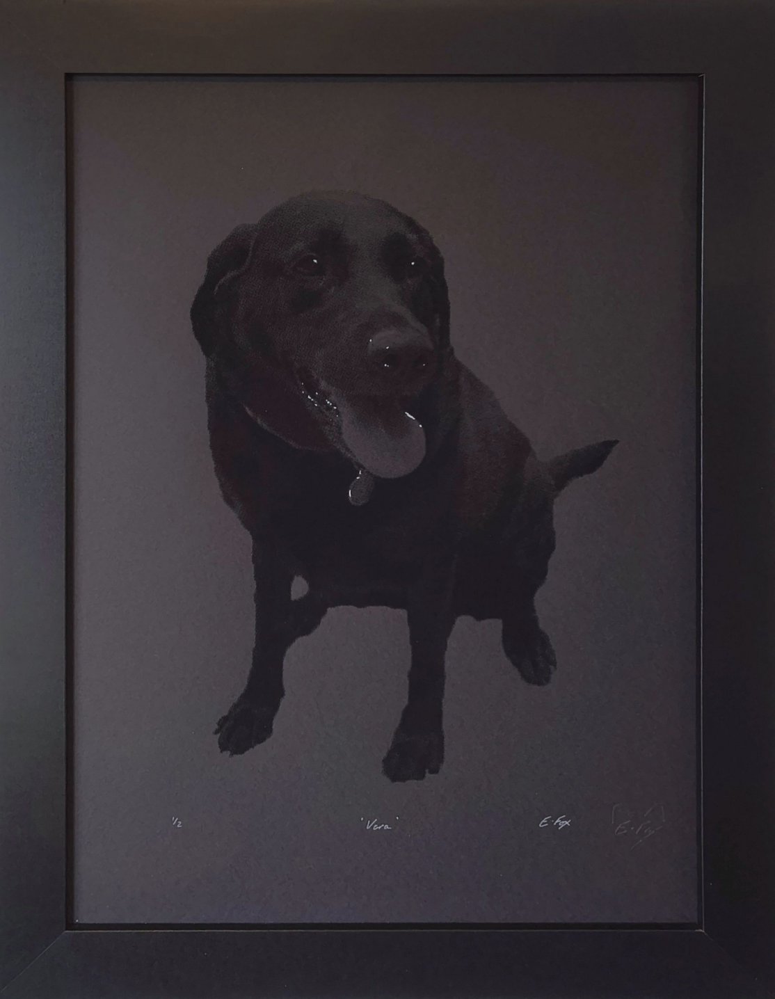 picture of a black dog on a black background