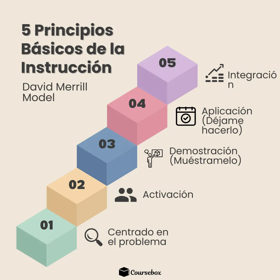 5 Principios Básicos de la Instrucción