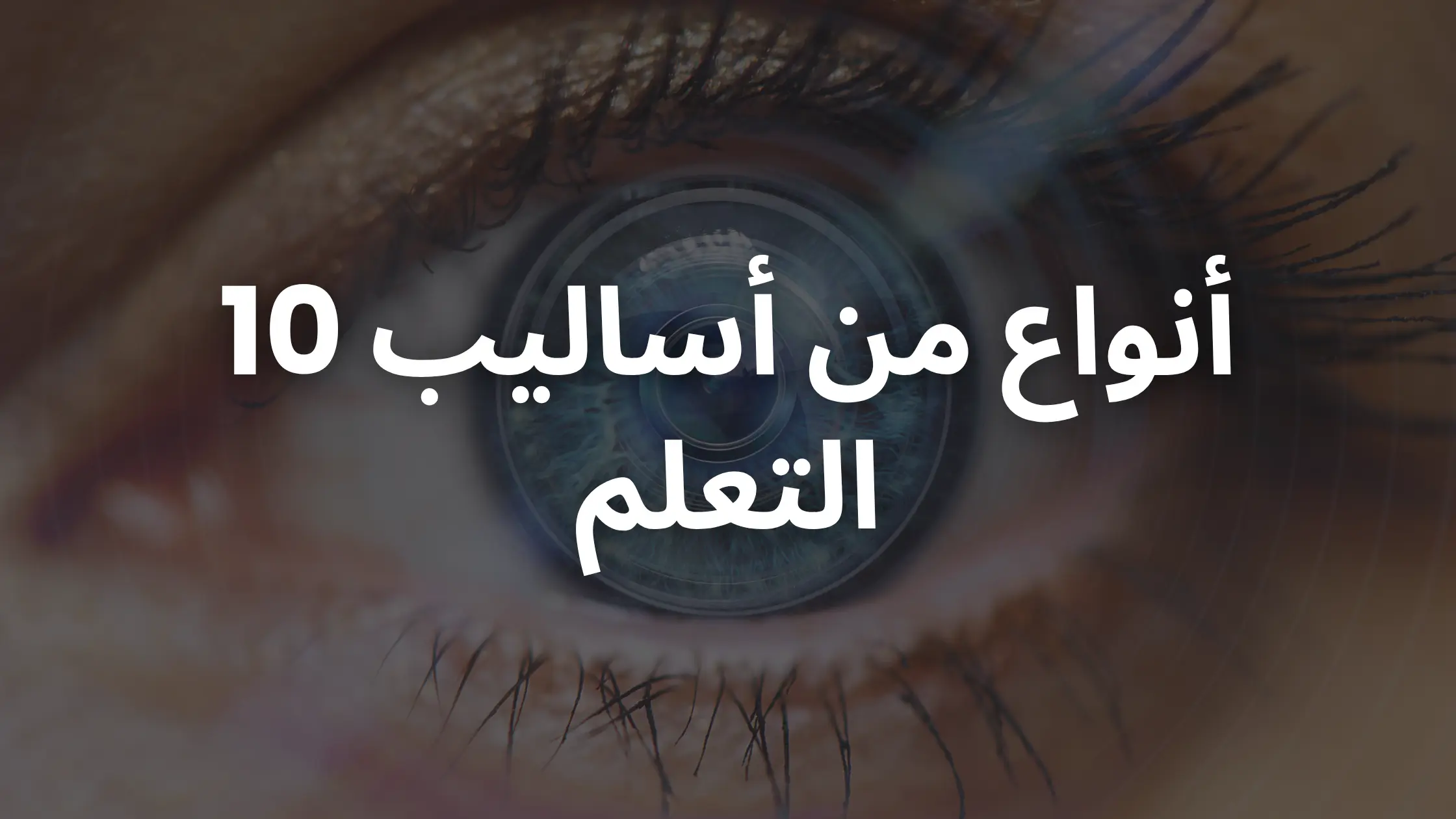 10 أنواع من أنماط التعلم: الدليل الكامل للتعلم المهني