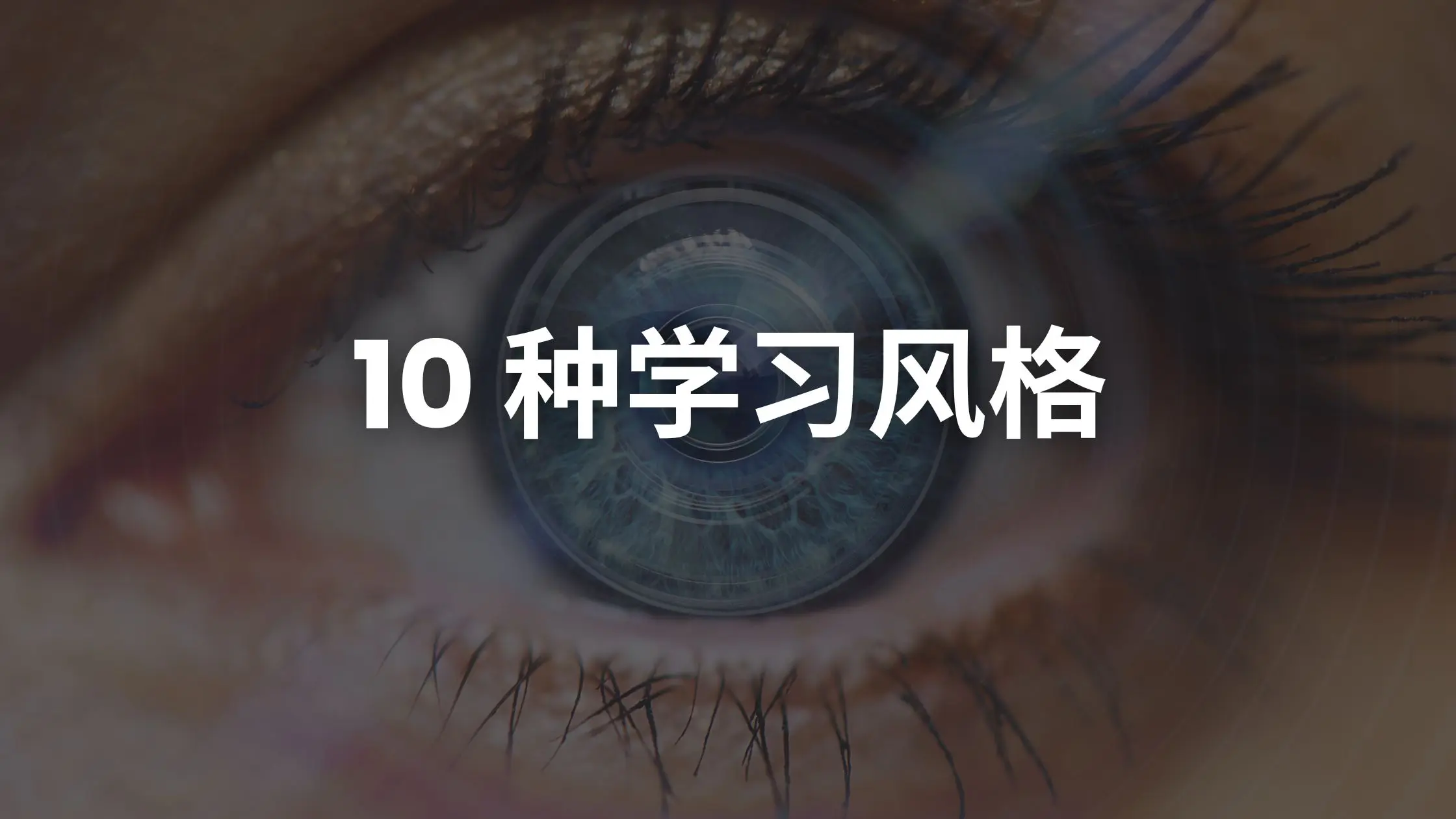 10 种学习风格：专业学习完整指南