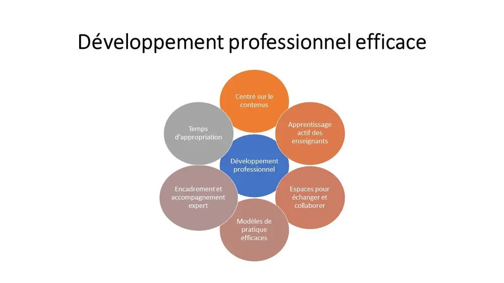 development proffesional efficacie