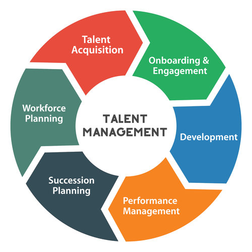 Talent Management Framework