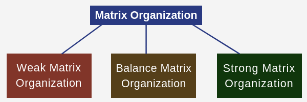 Types of Matrix Organizations