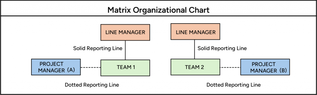 Matrix organization chart
