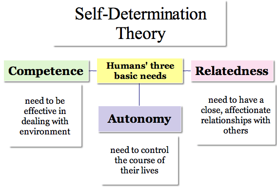 The Core Components of Self-Determination