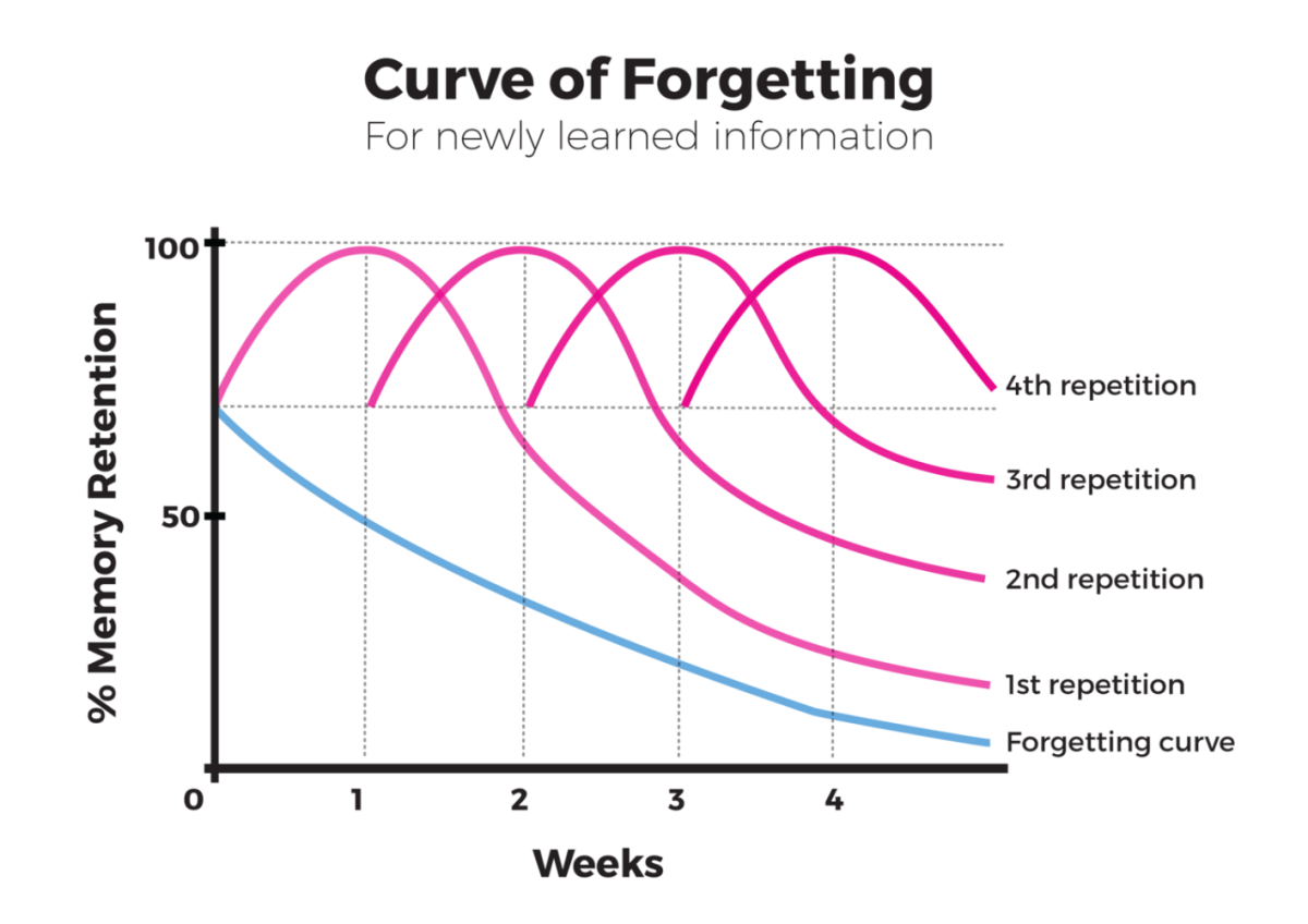 How long does it take for new learners to forget information?