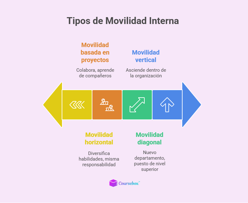 Tipos de Movilidad Interna