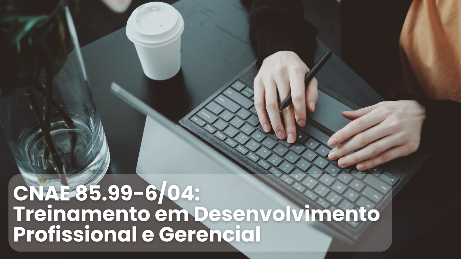 CNAE 85.99-6/04: Treinamento em Desenvolvimento Profissional e Gerencial