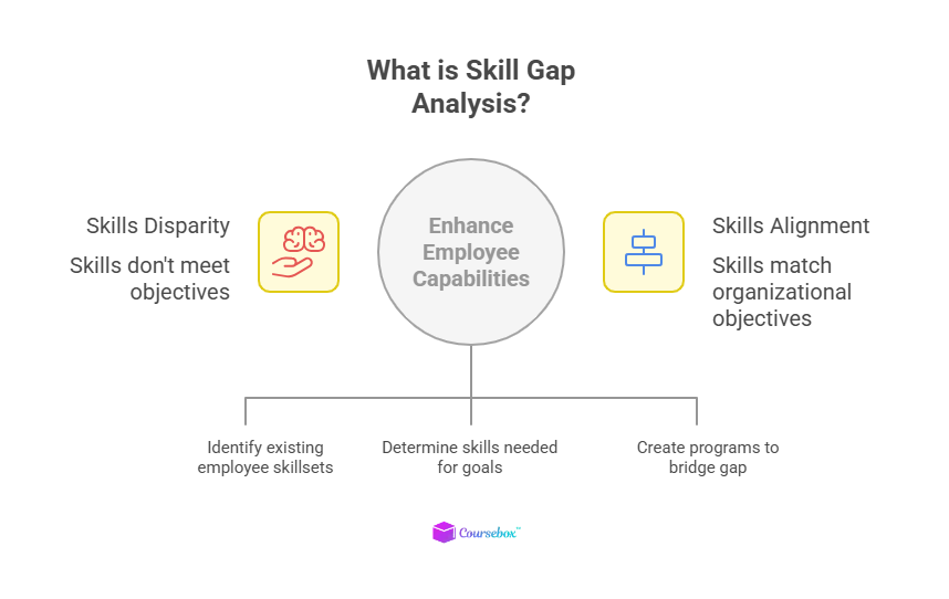 Skills gap analysis