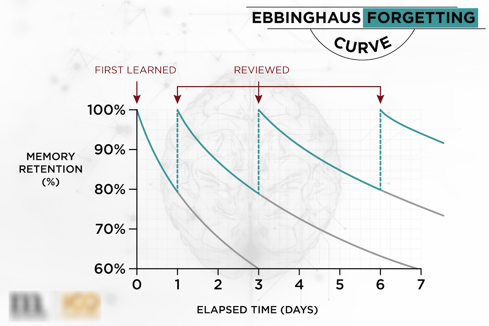 Ebbinghaus Forgetting Curve