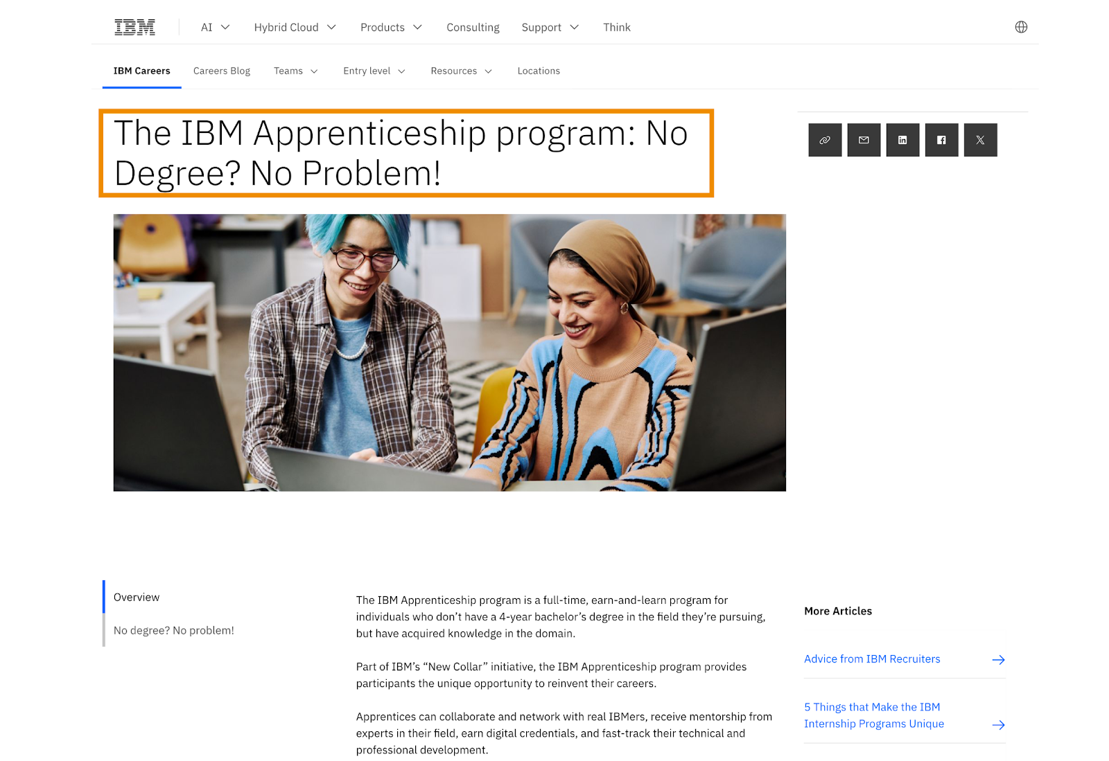 IBM – Apprenticeship Program
