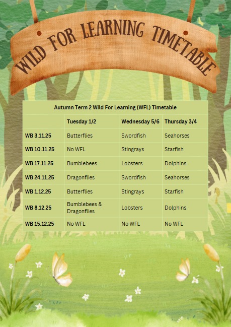 1087635278051971_1393923056071055