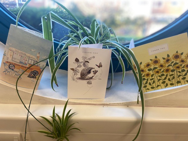 1087635278051971_1408407151289312