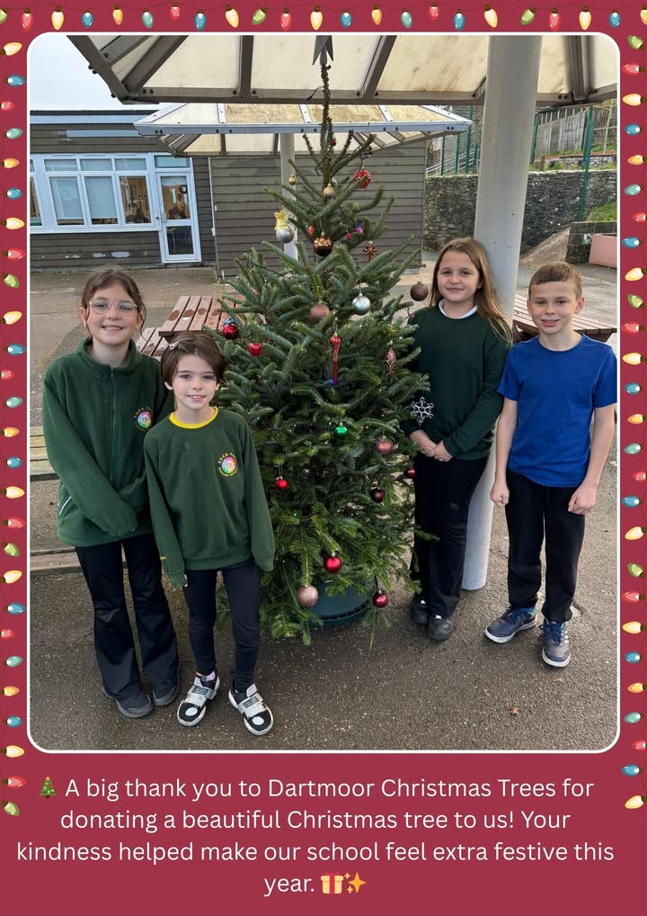 1087635278051971_1417663393697021