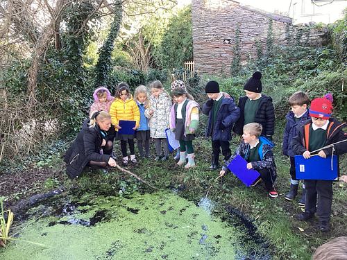 1087635278051971_1456010503195643