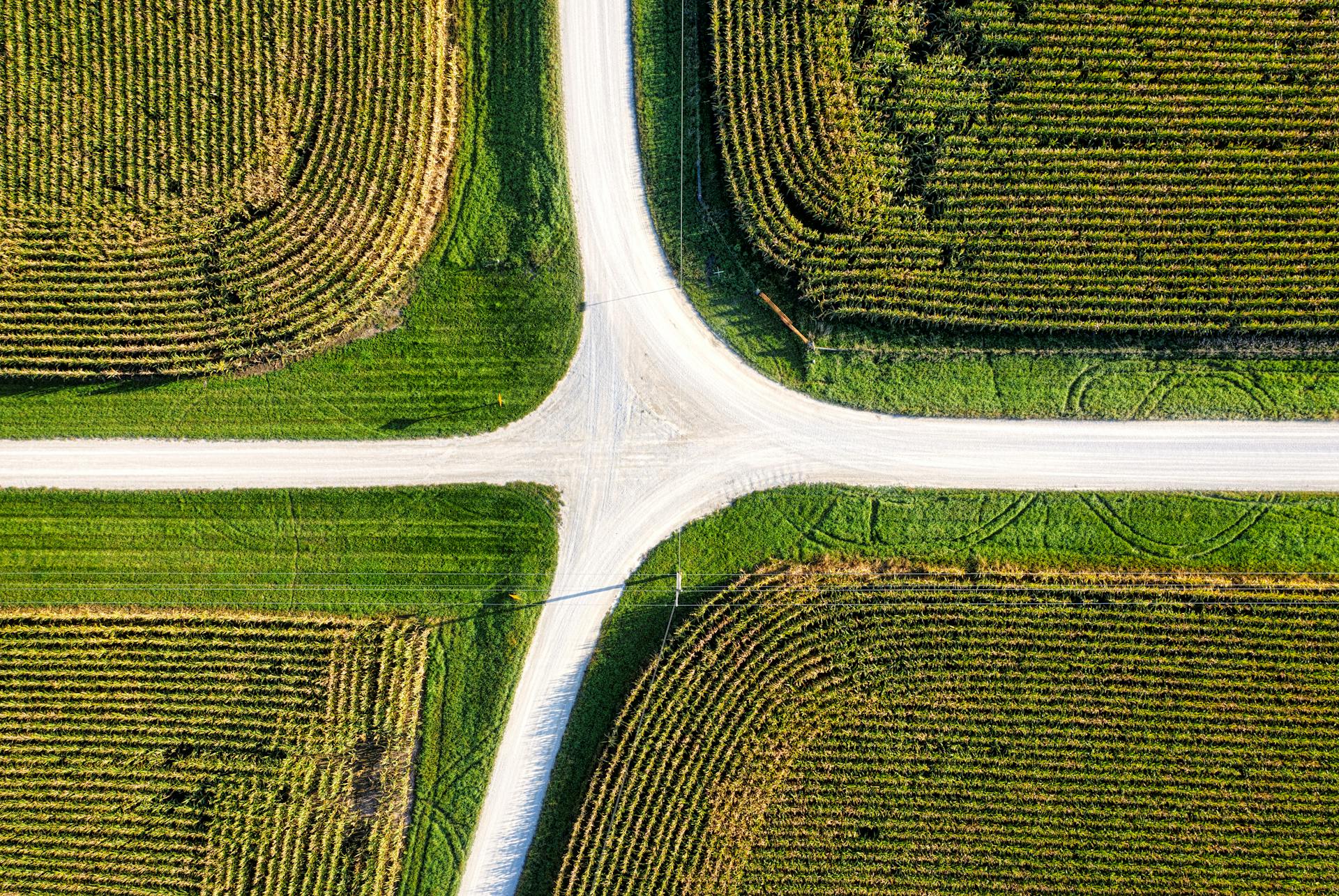 Acquisition Entrepreneurship: The Third Path Between Employment and Start‑Ups