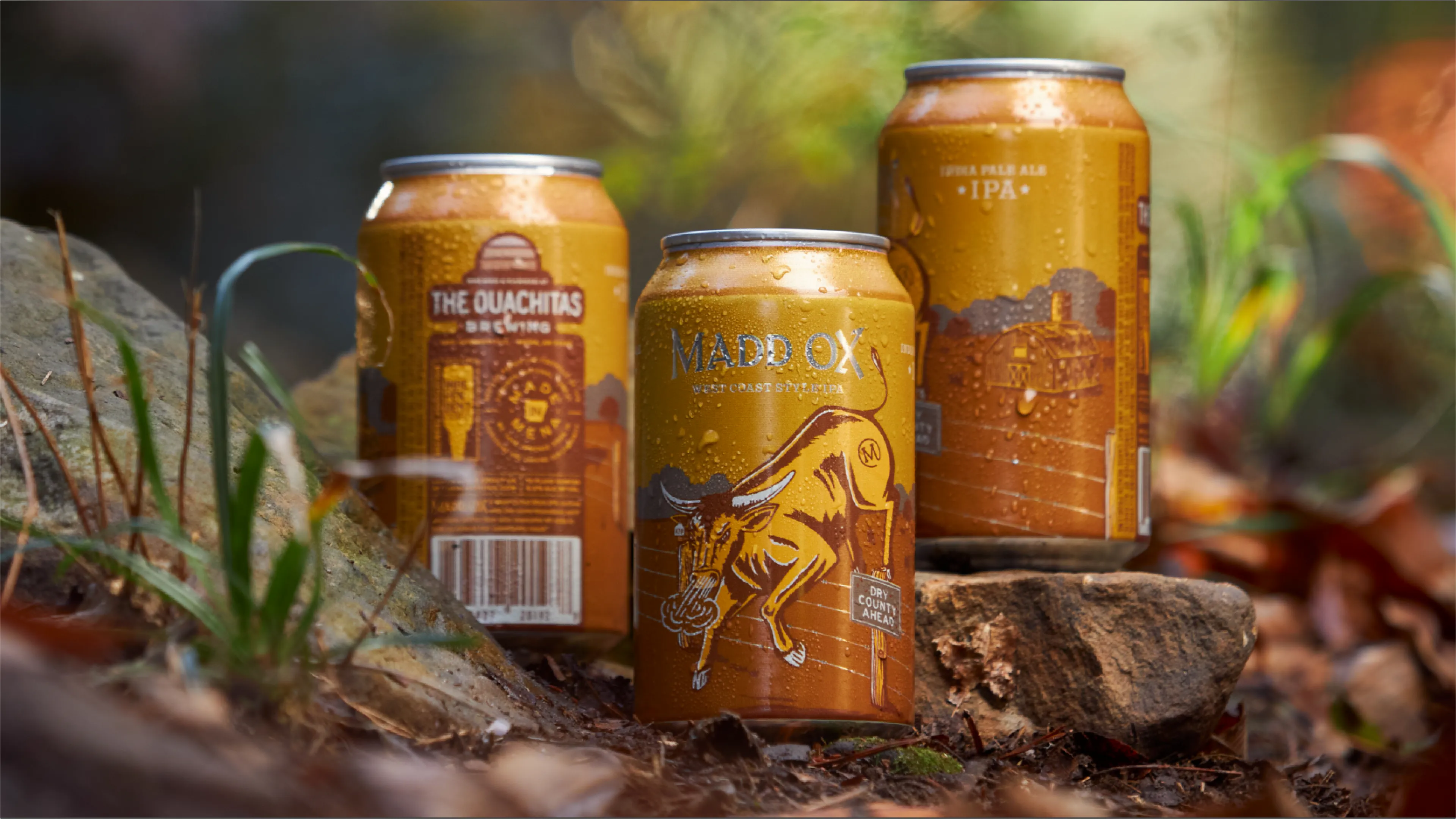 The Ouachitas Madd Ox West Coast IPA beer cans with charging longhorn bull illustration resting on rocks in natural setting, can design by Unbound Collective