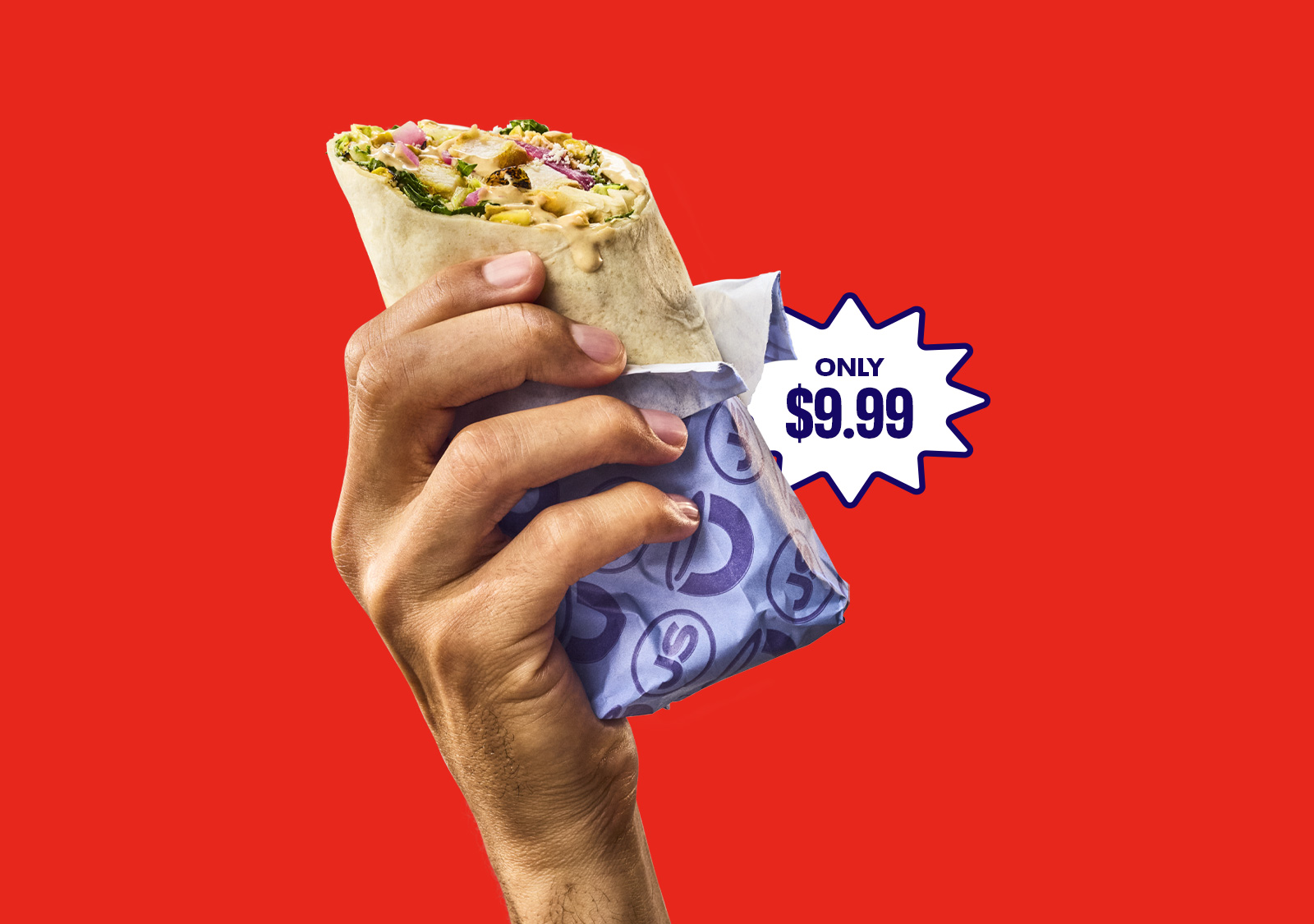 hand holding a wrap