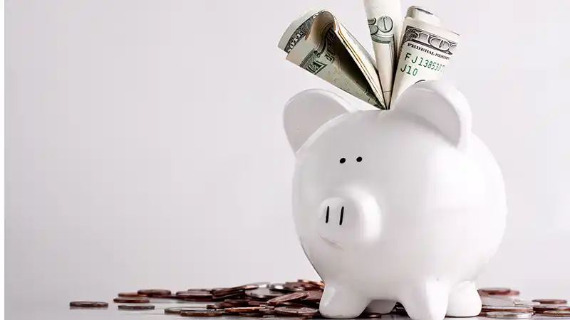 Piggy bank stuffed with cash.