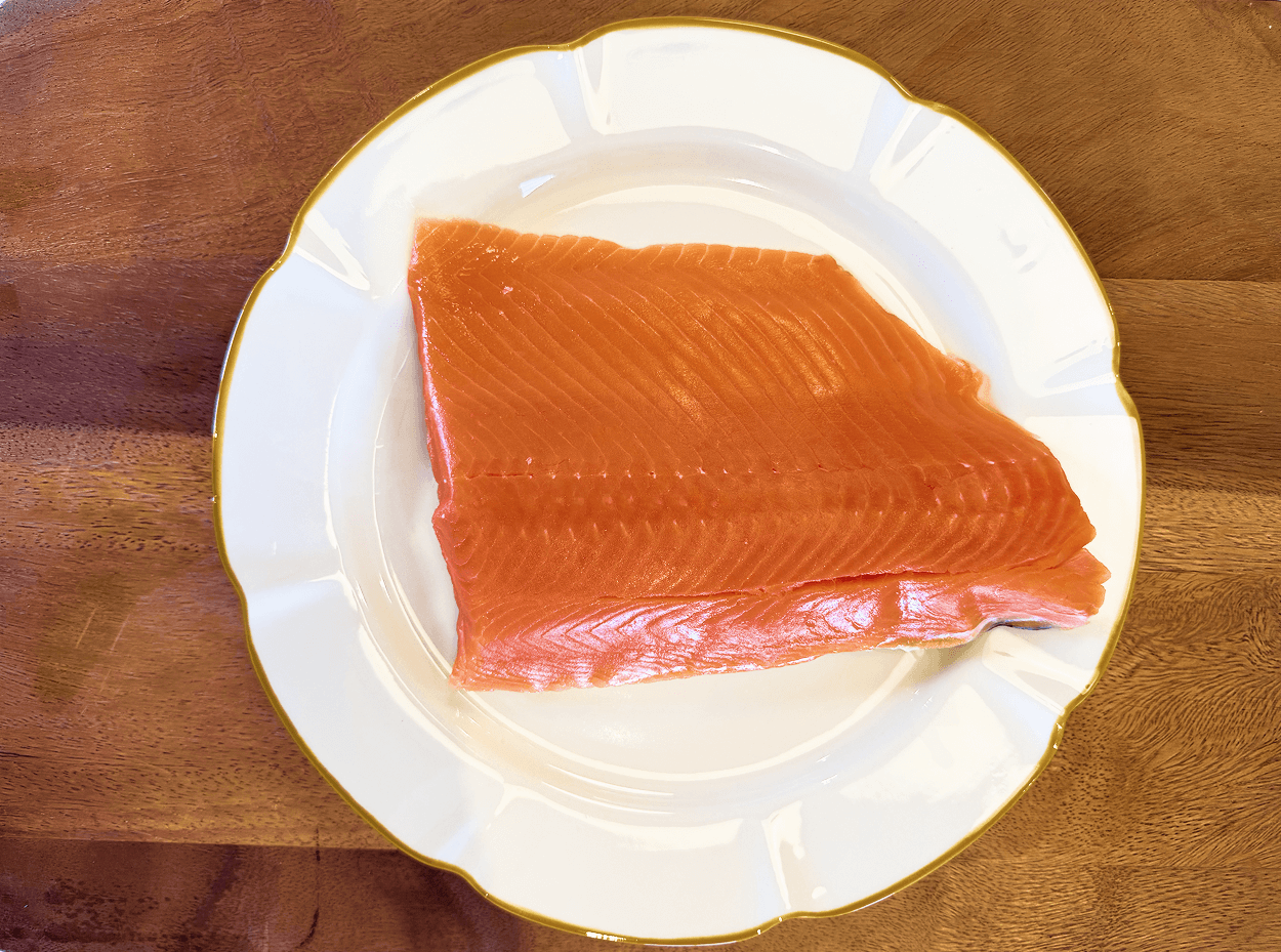 Coho Salmon