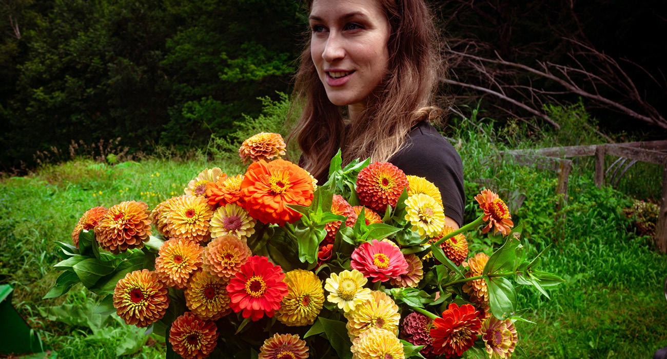 Fow Meadow Flower Farm Flowers Skowhegan Maine.