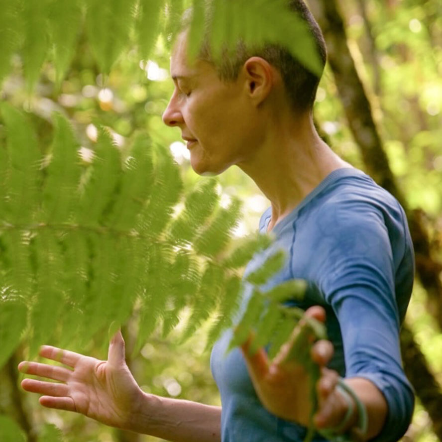 Jacqueline transmits a purification signal to restore sovereignty, heal deeply, and reconnect to your source through integrity.