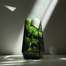 Futuristic terrariums blending biomorphism, science, and art. Living sculpture inspired by nature’s geometry and innovation.