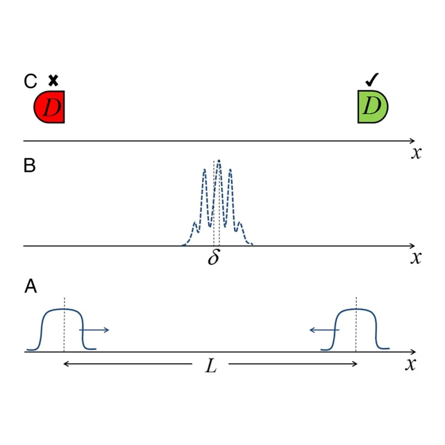 Quantum experiment revealing how observation influences reality. A gateway to understanding consciousness and matter.