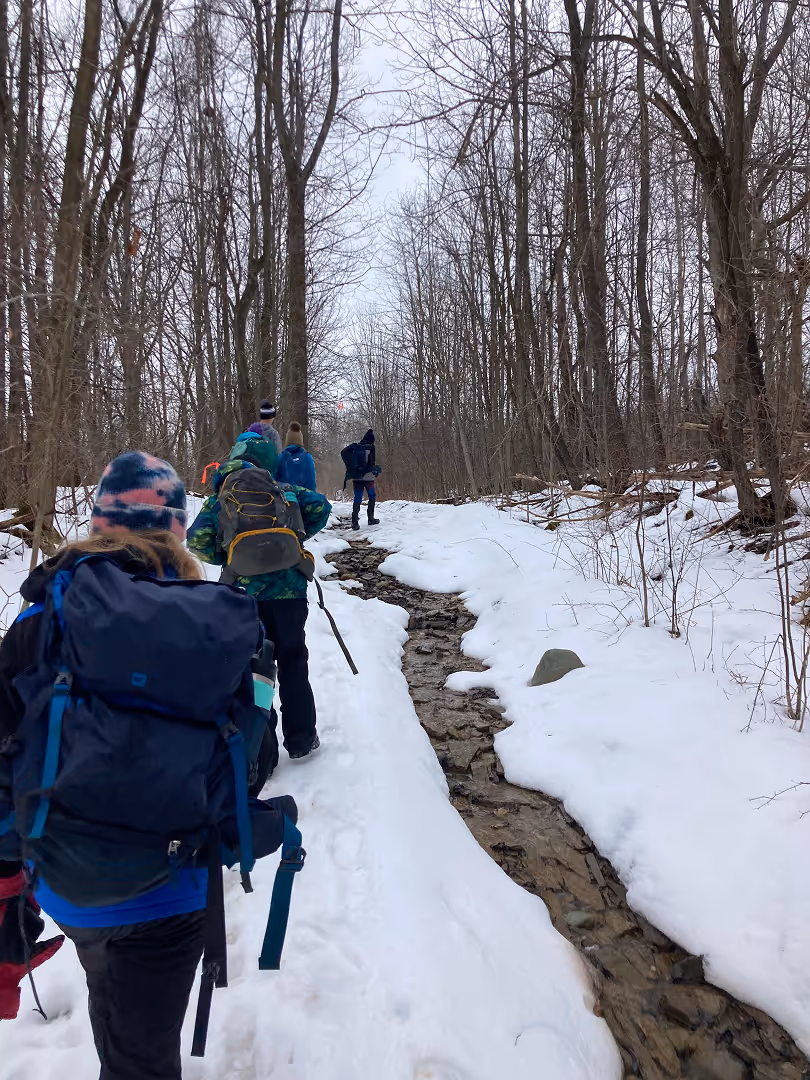 Group of hikers walking on a snowy trail beside a narrow creek lined by leafless trees.
