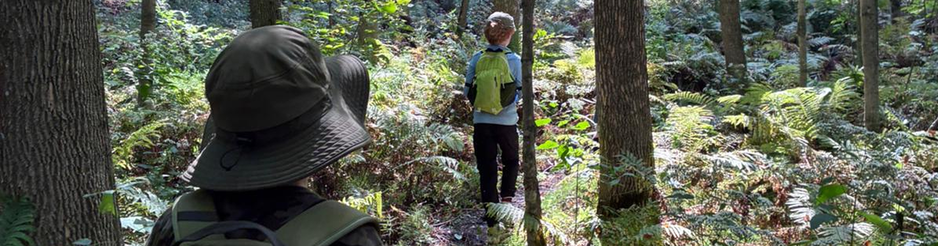 Unplug to Reconnect: Join the WILDE School Screen-Free May Challenge!