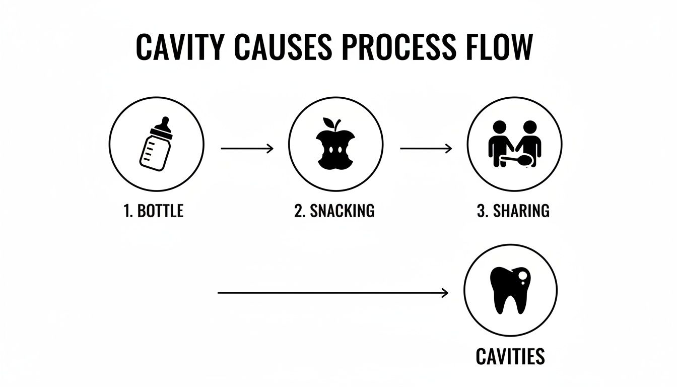 Diagram illustrating the process flow of cavity causes: bottle, snacking, and sharing, leading to cavities.