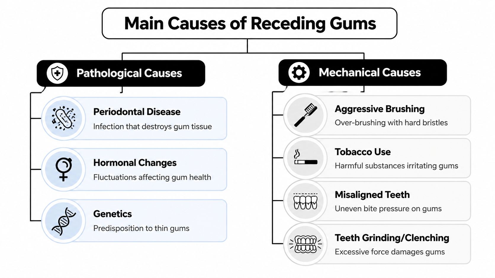 A diagram outlining the main pathological and mechanical causes of receding gums in adults.