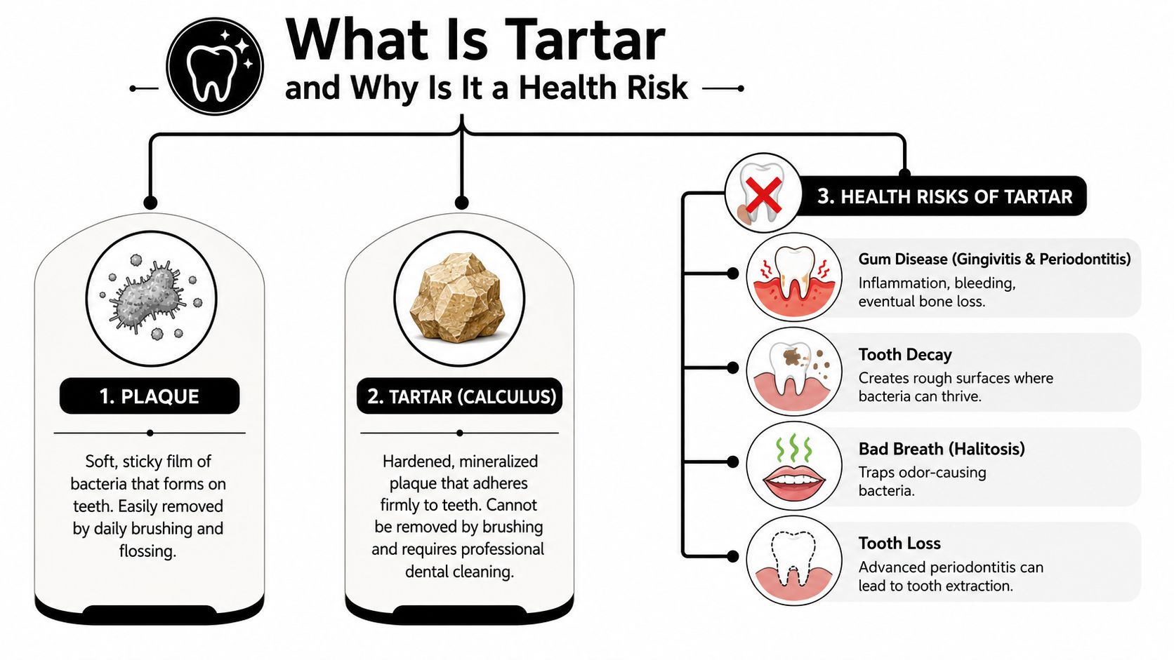 An infographic explaining what tartar is, how it differs from plaque, and the health risks involved.