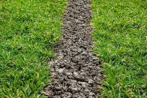 Project Single Image