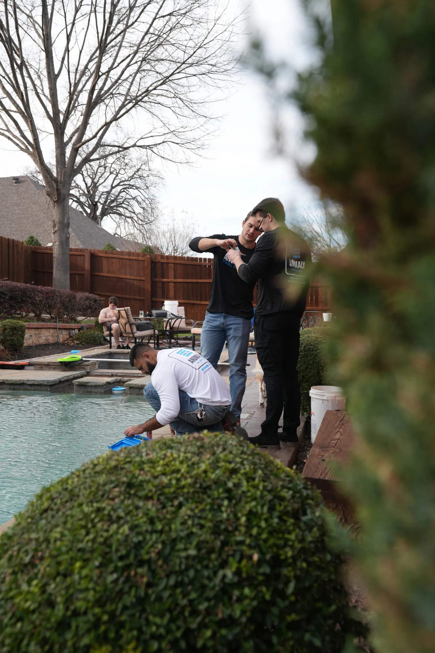anomaly pool service colleyville