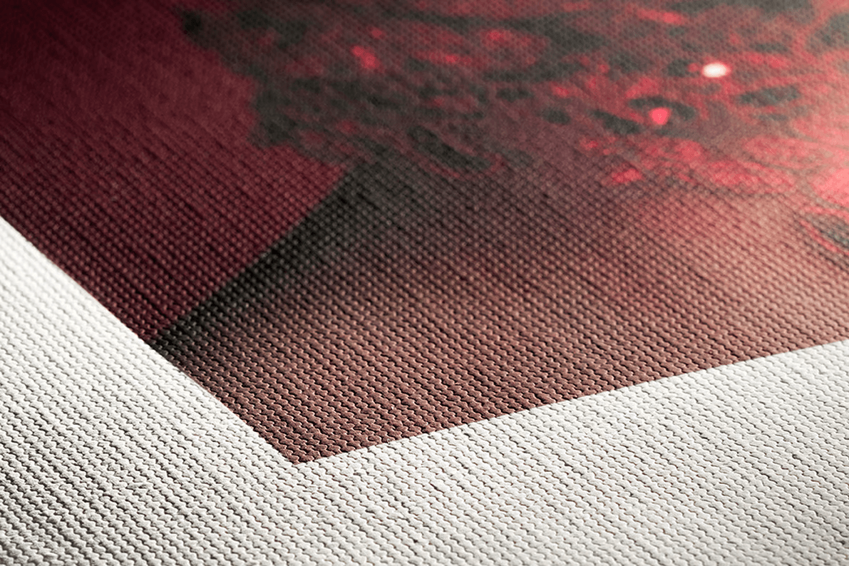 best furniture material for dogs and cats