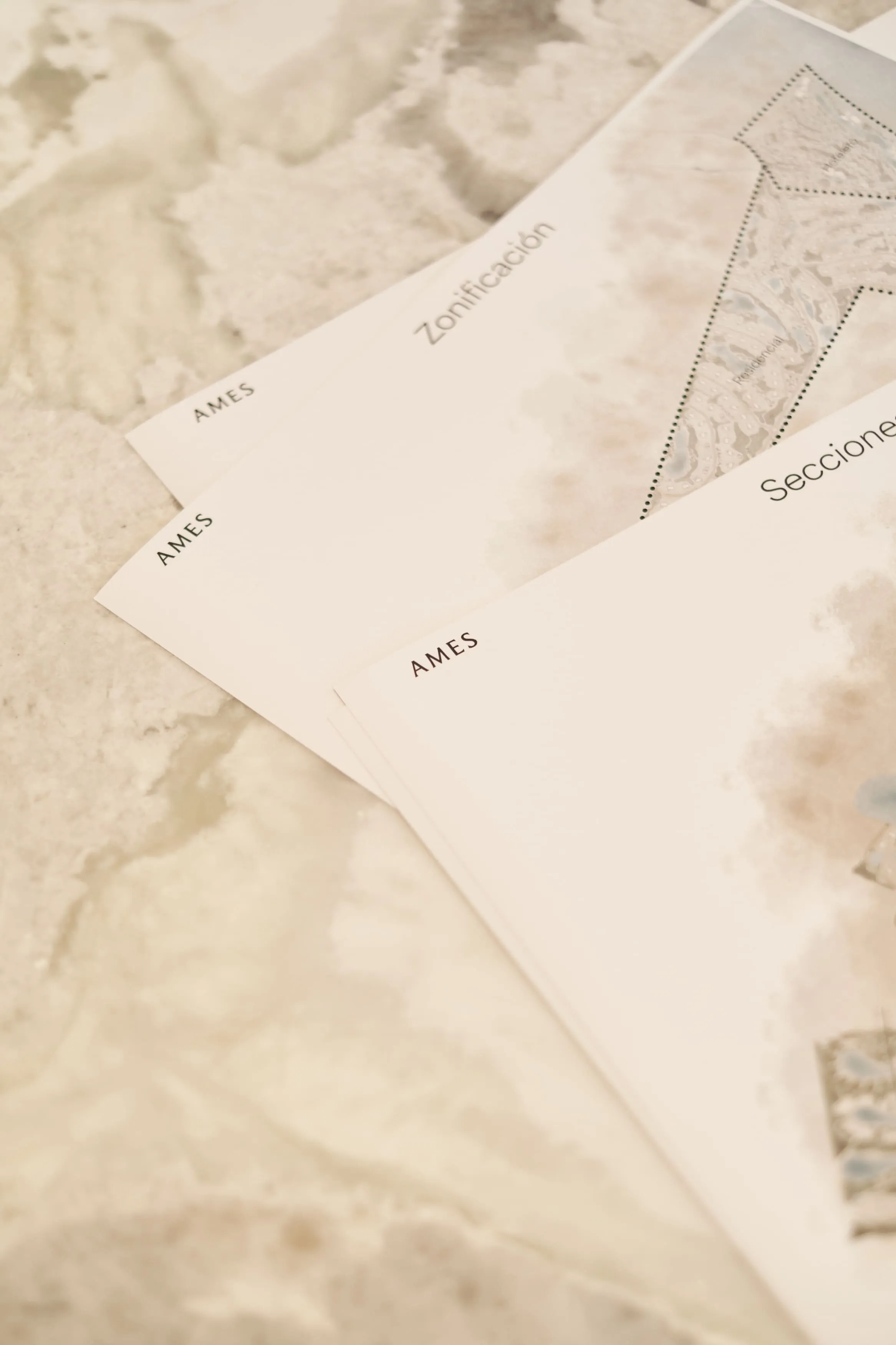 Details of AMES