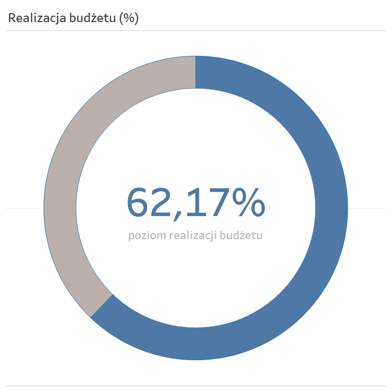 donut chart, poziom realizacji budżetu