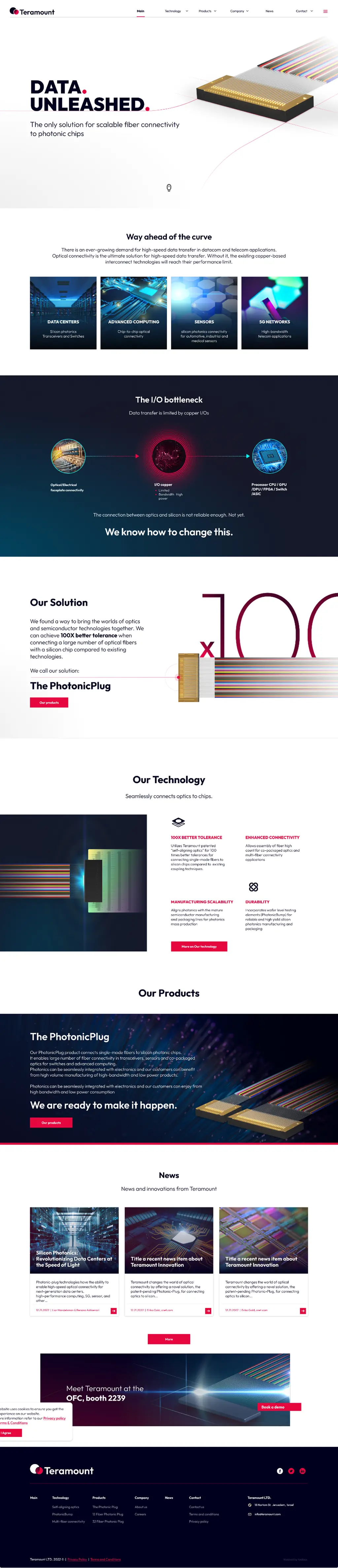 Teramount Photonic Plug