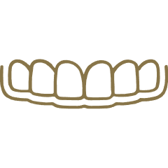 Outline of the upper row of human front teeth in a simple brown line drawing.