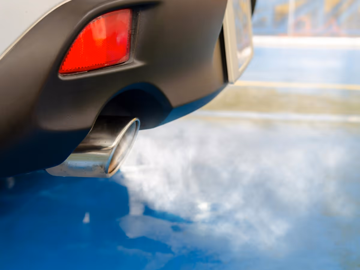 Vehicle Exhaust