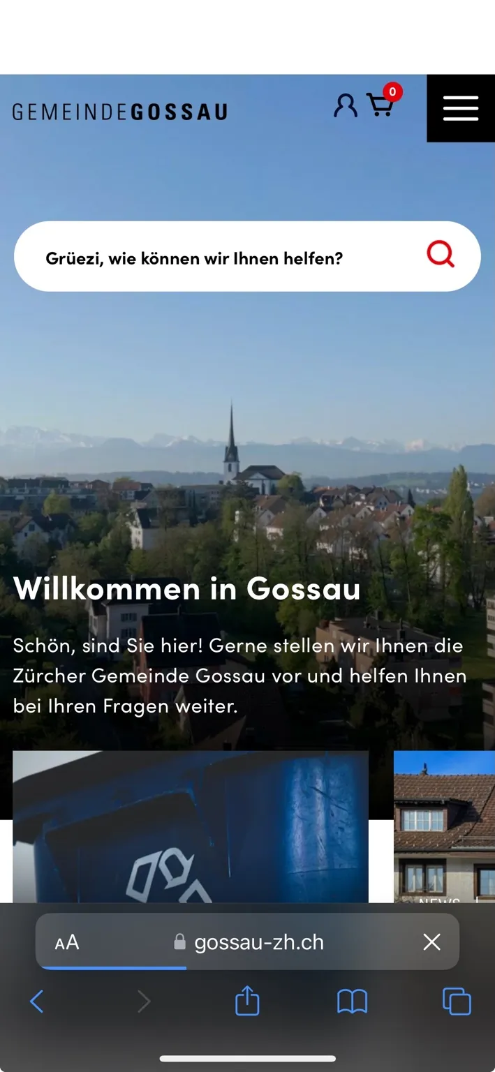 Detailansicht der besonderen Leitungals Screenshot
