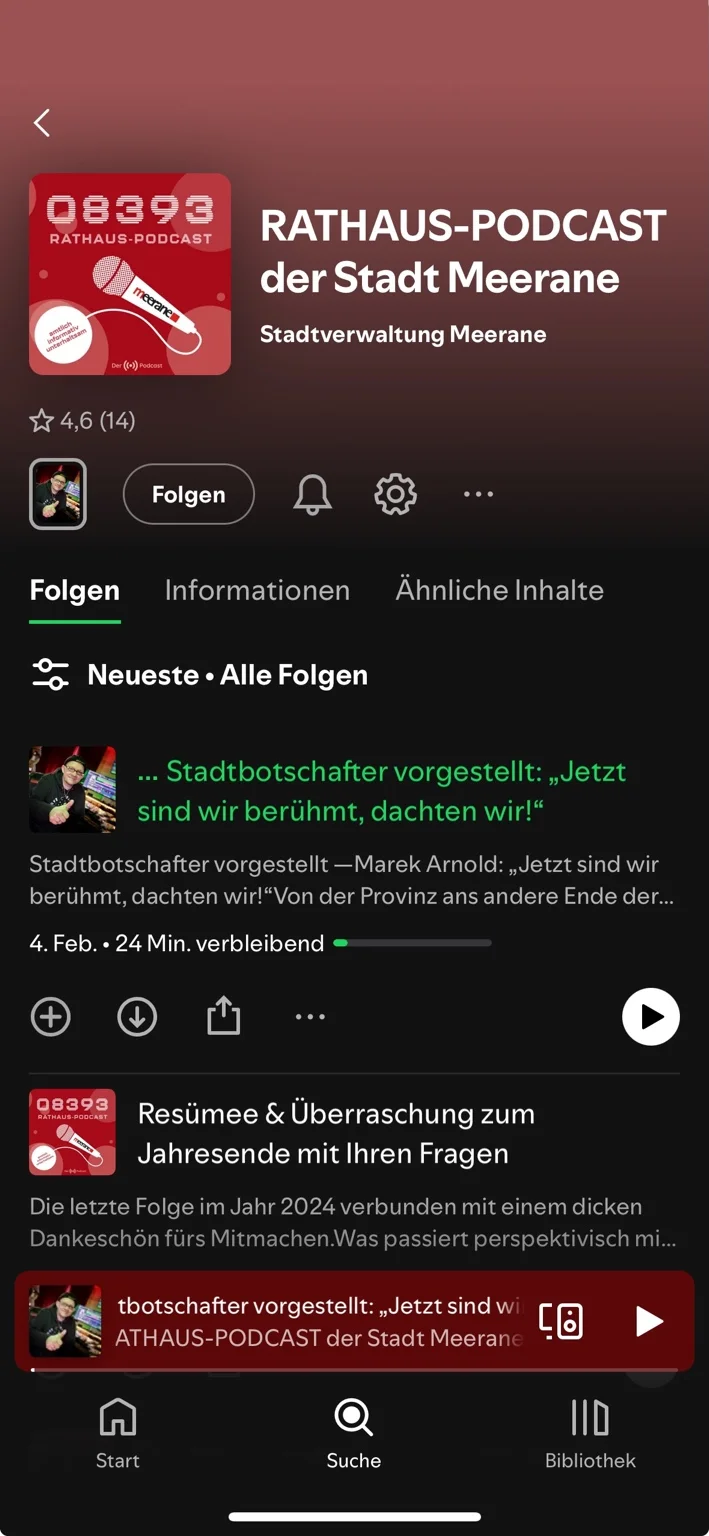Detailansicht der besonderen Leitungals Screenshot