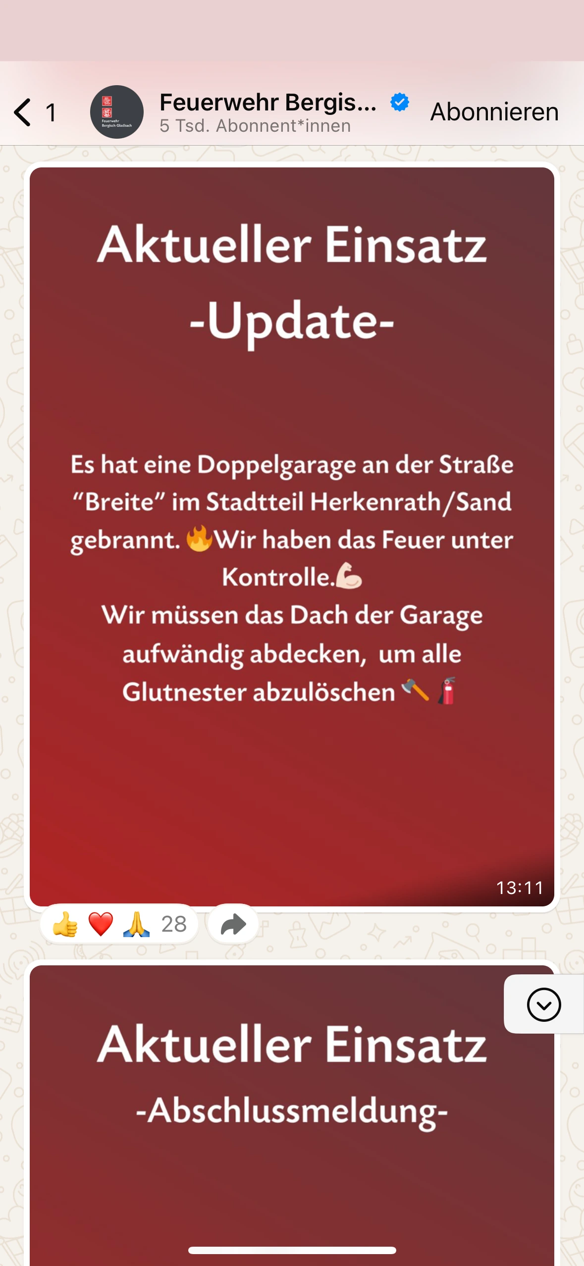 Detailansicht der besonderen Leitungals Screenshot