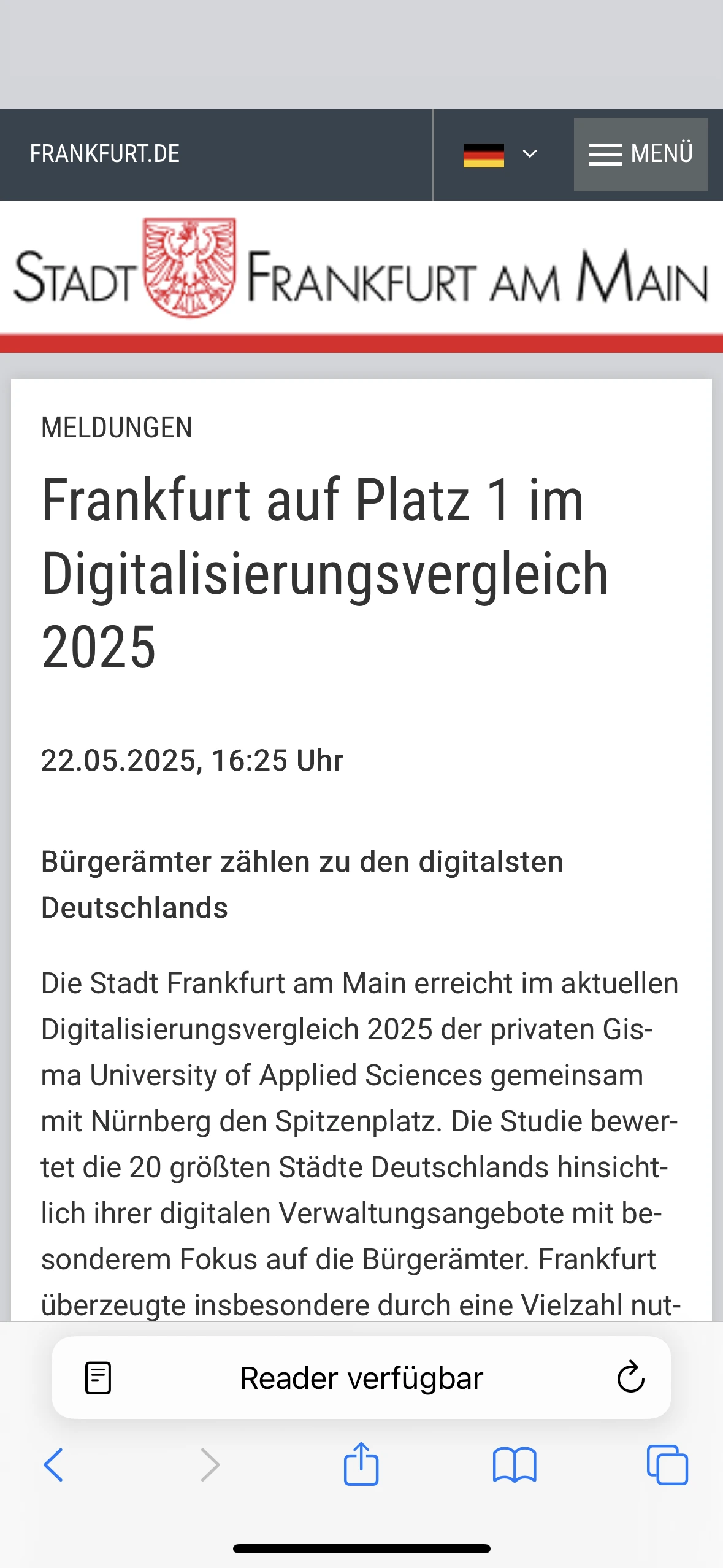 Detailansicht der besonderen Leitungals Screenshot