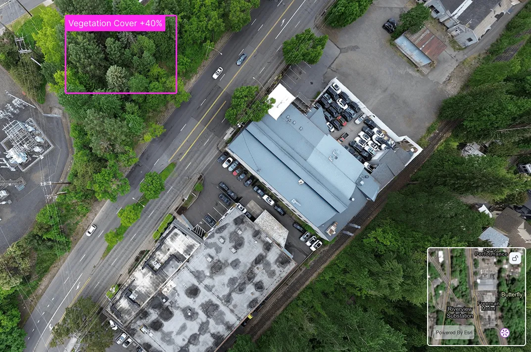 Tree watching captured with Spexi drone