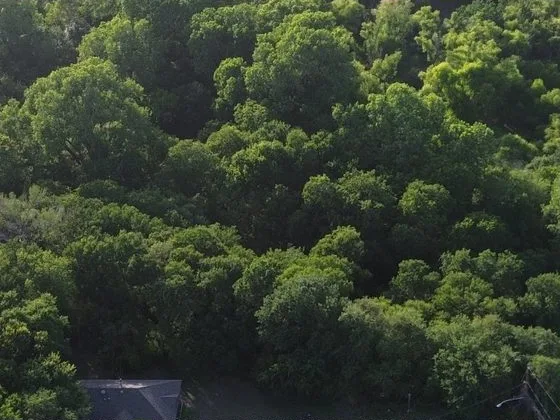 Close-up drone image of Austin